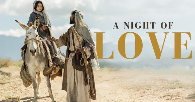 A Night Of Love