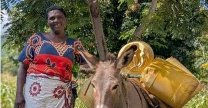 This Year's Christmas Stocking Project - Muletide Wishes - $496.60 Donated So Far image