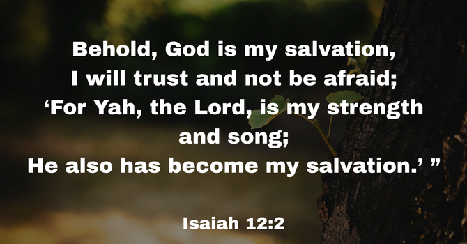 Isaiah 12:2 image