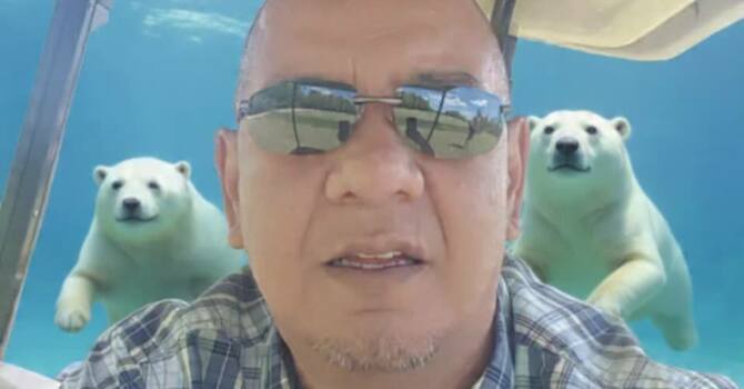 NLBC Polar Bear Dip image