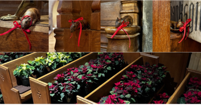 Still Not Finished image