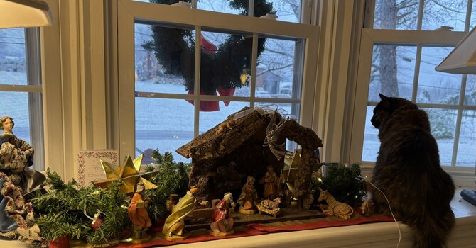 Christmas Day 2 (or Day 1?) image