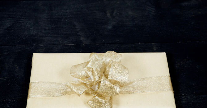 A Priceless Gift image