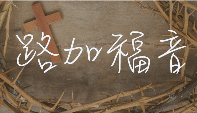 奇妙孩童，人类救主