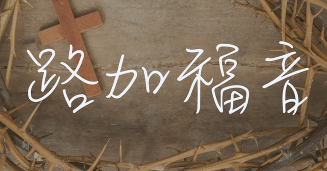 奇妙孩童，人类救主