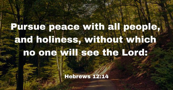 Hebrews 12:14 image