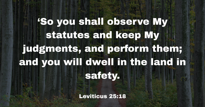 Leviticus 25:18 image