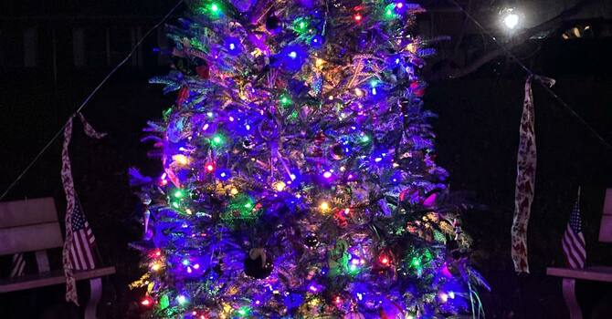 The Weary World Rejoices