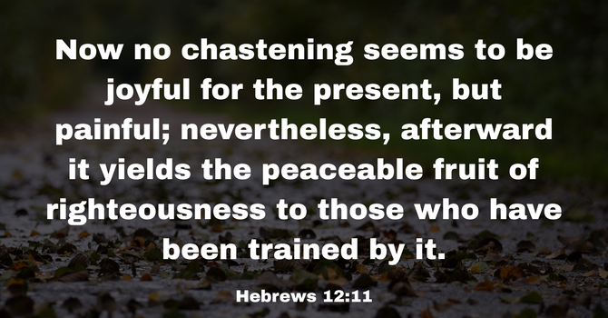Hebrews 12:11 image