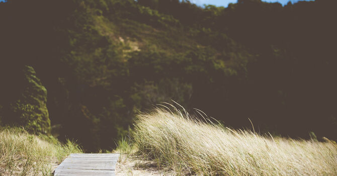 Potluck lunch and Congregation Meeting