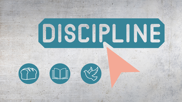 Discipline