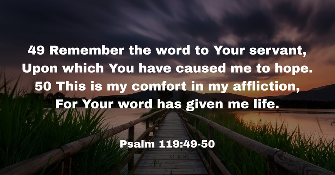 Psalm 119:49-50 image