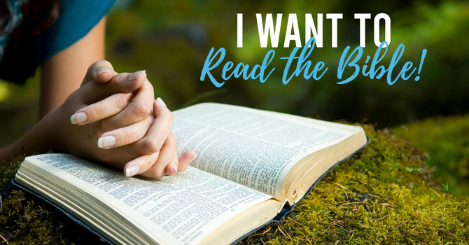 Wanna Read The Bible This Year?