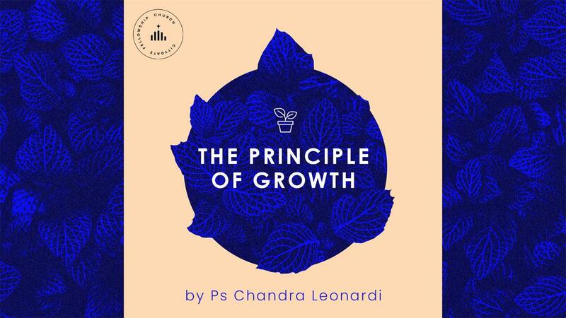 The Principles of Growth