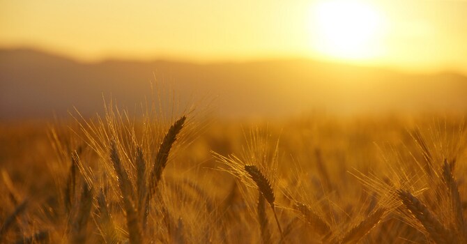 Starting Over Finale