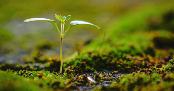 Thankfulness and Joy for 2026