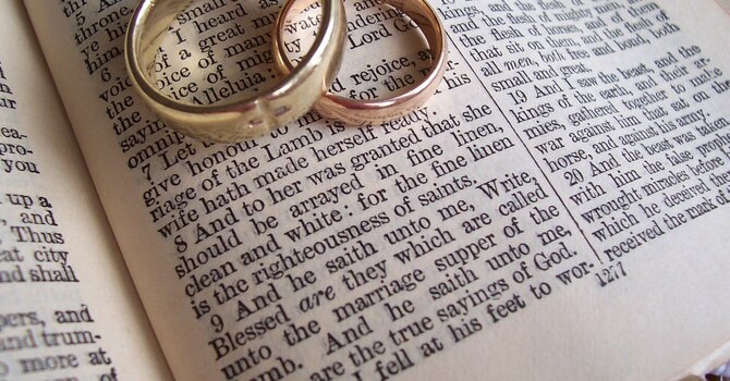 Seth and Gabby's Wedding