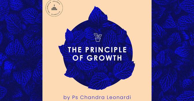 The Principles of Growth