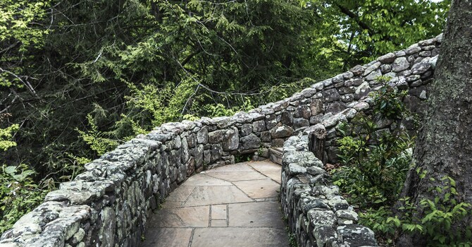 Meaninglessness for Purpose