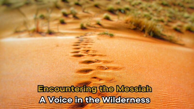 A Voice in the Wilderness