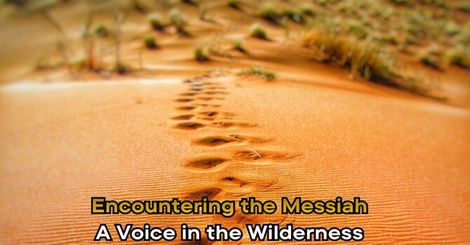 A Voice in the Wilderness