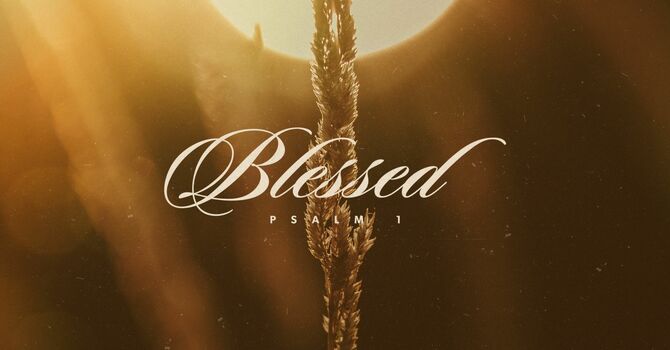 How to be Happy and Blessed in Life