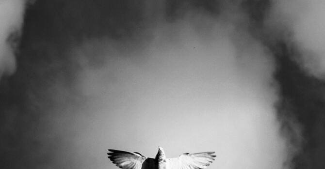 Feast of the Baptism of Our Lord