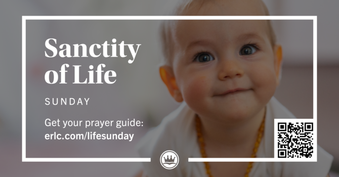Sanctity of Life Sunday