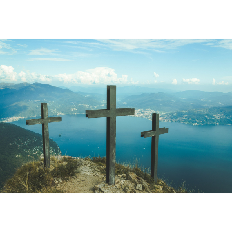 One Passion, One Satisfaction