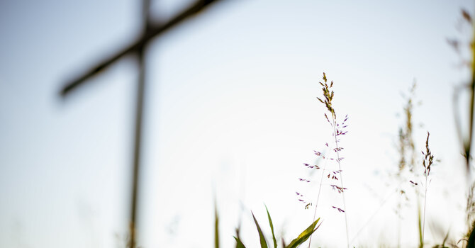 Coffee and Donut Fellowship