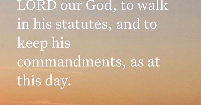 Fully Committed  image