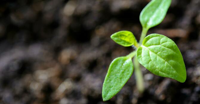 Wellness for Good pilot - Cohort Two