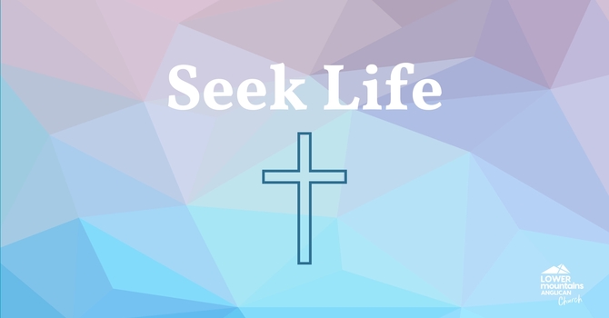 Seek Life