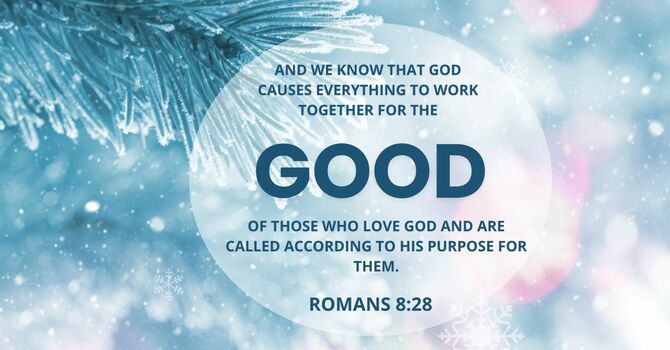 What Can I Learn From This?