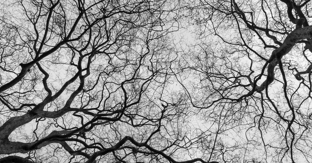 The Epiphany Of The Lord