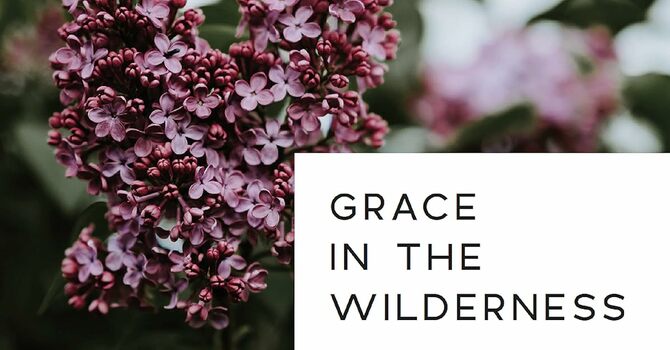 Ladies’ Bible Study Group