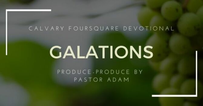 The Lattice & the Vine image