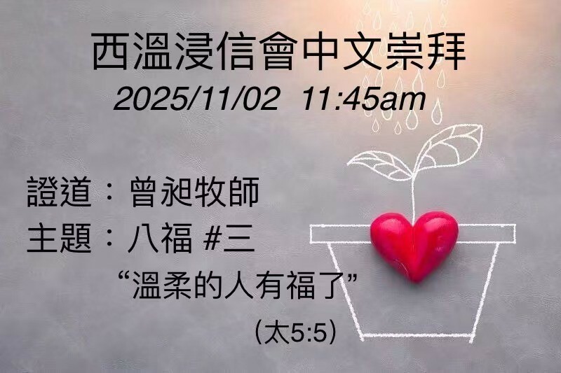 八福#三: 溫柔的人有福了！(太5:5)