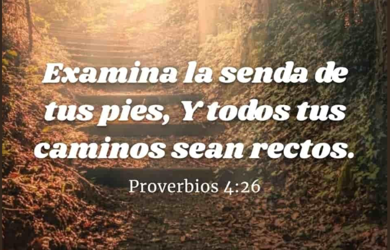 ANTES DE CELEBRAR EL AÑO NUEVO, EXAMINA EL VIEJO CON GRATITUD