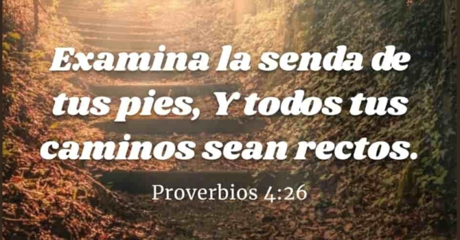 ANTES DE CELEBRAR EL AÑO NUEVO, EXAMINA EL VIEJO CON GRATITUD