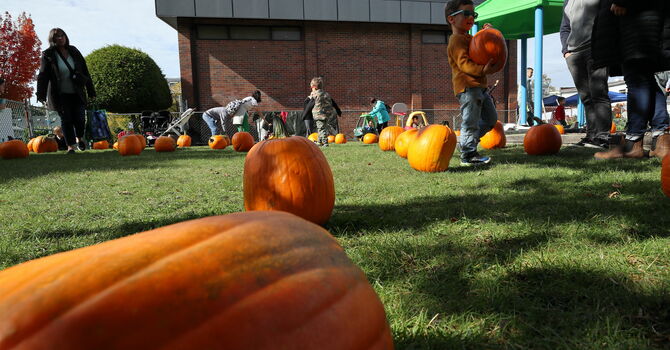 Celebrate Lunar New Year with Chinese Delicacies