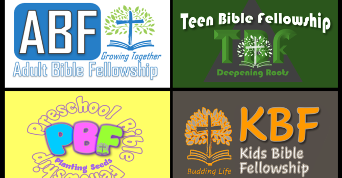 Bible Fellowship Groups