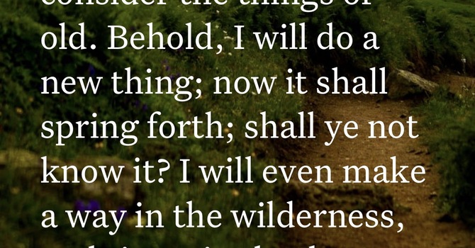 A New Beginning  image