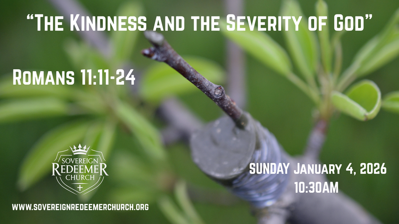 “The Kindness and the Severity of God”