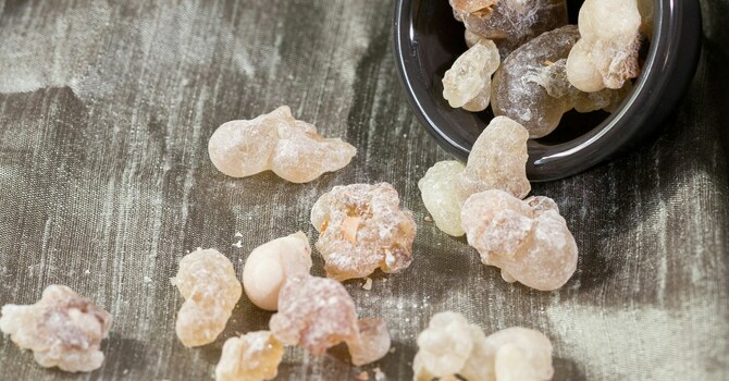 The Myrrh - The King That Heals Your Pain