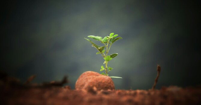 The Hope of New Things