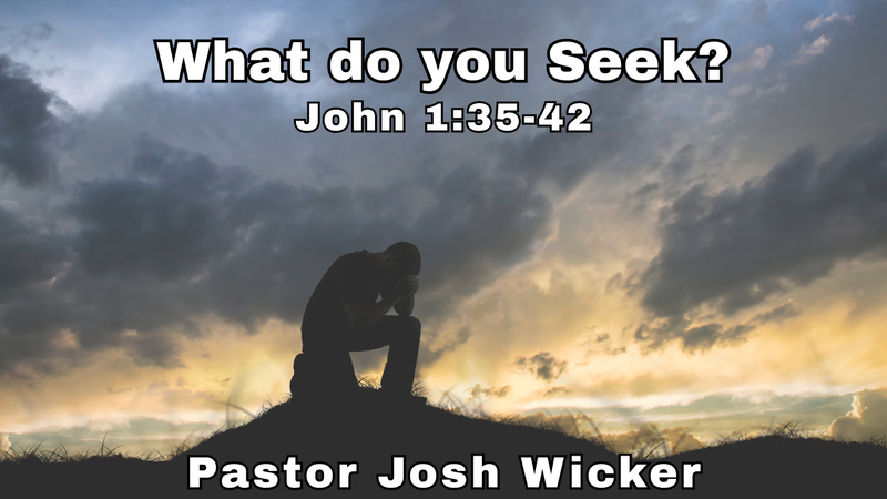 What do you Seek?