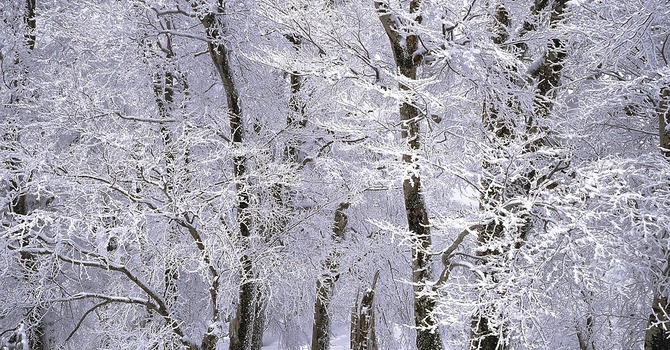 January 2, 2026 Devotion image