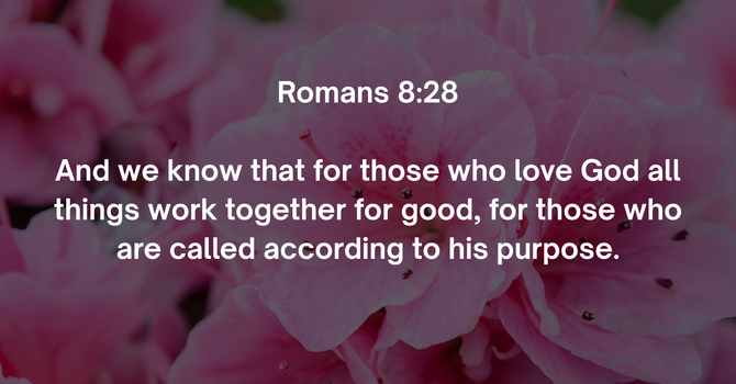 Romans 8:28 image