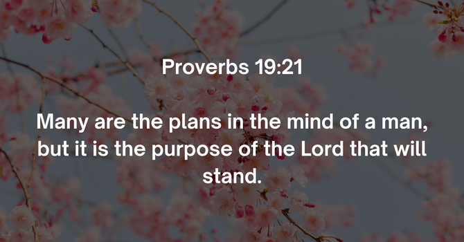 Proverbs 19:21